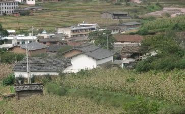 村助理的工作总结参考6篇