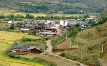 村助理年度总结8篇