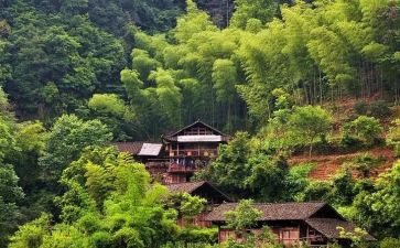 2024村会计的工作总结模板6篇