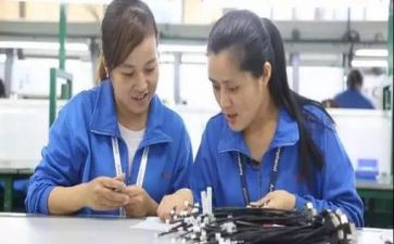 导师带徒的心得体会7篇