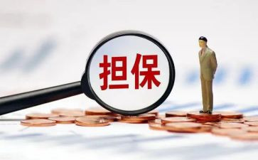 担保公司月总结7篇