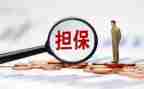 担保公司月总结7篇