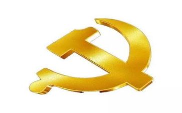 向党报告活动总结精选8篇