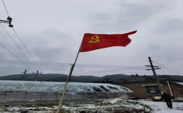 党员转正个人总结5篇