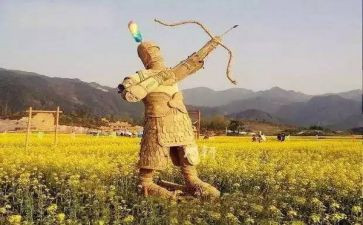 稻草人,阅读心得5篇
