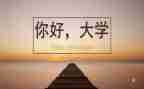 大学总结报告800字6篇