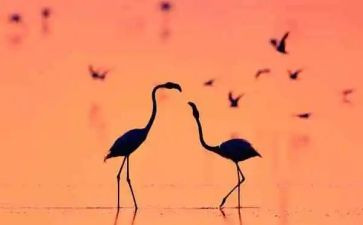 的滋味优秀作文优秀5篇