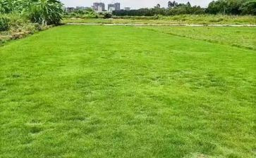 地理教师年度考核个人总结2023精选7篇
