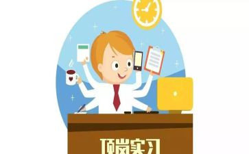 顶岗实习教师个人总结5篇
