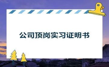 会计顶岗心得体会7篇
