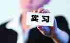 顶岗实习教师指导工作总结6篇