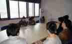 学生实习顶岗个人总结6篇