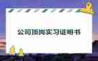 会计顶岗心得体会7篇