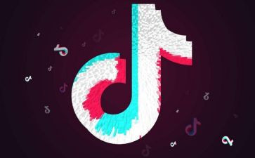 抖音运营合同8篇