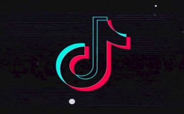 2024年抖音年度总结6篇
