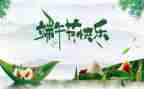 庆端午活动总结最新6篇