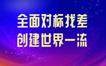 对标报告个人总结优秀8篇