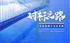 对标报告个人总结模板5篇