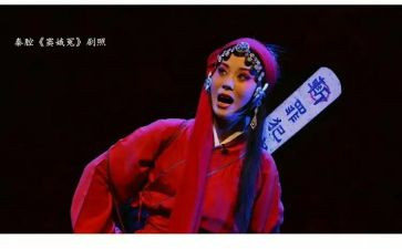 窦娥冤读后感7篇