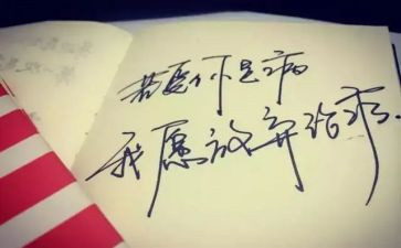 广告投放的合同最新8篇