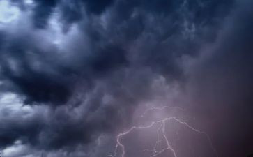 风雨吟的读后感6篇