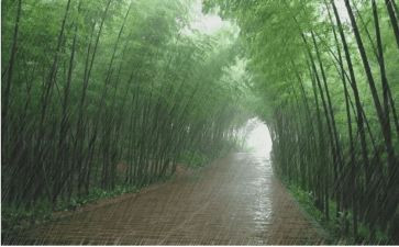 风雨中,我_______作文精选5篇