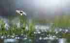 风雨中,我_______作文5篇