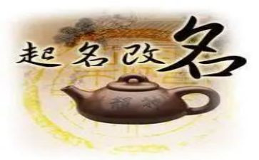 关于改名字的作文7篇