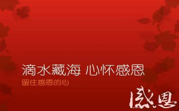 有关感恩演讲稿参考8篇