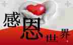 感恩的心,演讲稿精选5篇