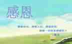 关于感恩的心的演讲稿最新8篇