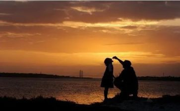 感人的动物作文5篇