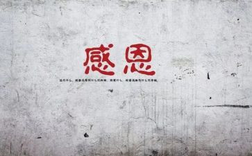 感谢你的陪伴作文8篇