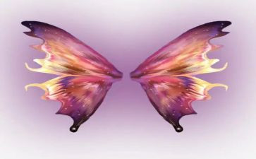 翅膀作文满分作文5篇