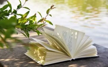 ?w格林童话读后感最新5篇