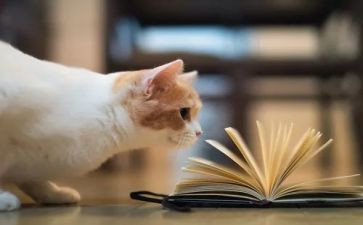 ?w格林童话读后感通用7篇