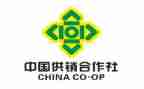 区供销社工作总结5篇