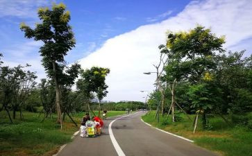 2024公园的作文优秀8篇