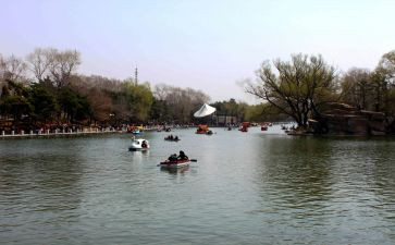 2024公园的作文通用8篇