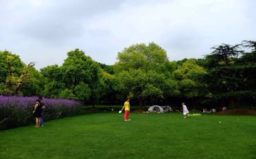 公园优秀作文模板7篇