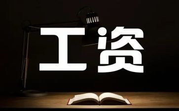 工资员的工作总结6篇