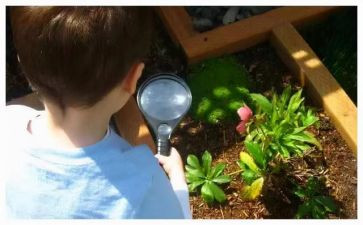 观察物体二年级上册教案7篇