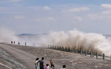 观潮的读后感三百字通用7篇