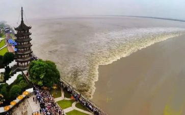 观潮的读后感三百字6篇