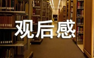 梵高传电影观后感7篇