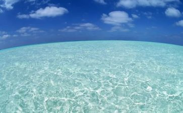 海精灵读后感8篇
