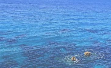 保护海洋演讲稿7篇
