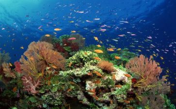 海底两万里读后感8篇
