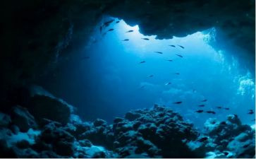 海底城作文推荐5篇