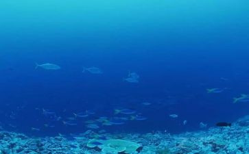 海底捞日记读后感6篇